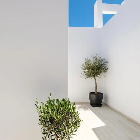 Vinara Luxury Mykonos 帕诺尔莫斯米科诺斯